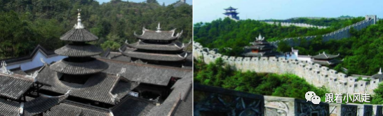 荆州受欢迎的恩施富硒茶（荆州特产茶叶）-硒宝网