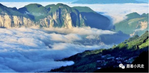 荆州受欢迎的恩施富硒茶（荆州特产茶叶）-硒宝网