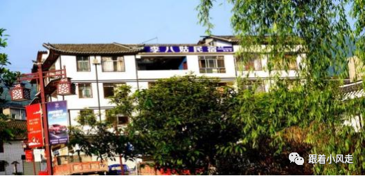 荆州受欢迎的恩施富硒茶（荆州特产茶叶）-硒宝网