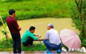 荆州受欢迎的恩施富硒茶（荆州特产茶叶）-硒宝网