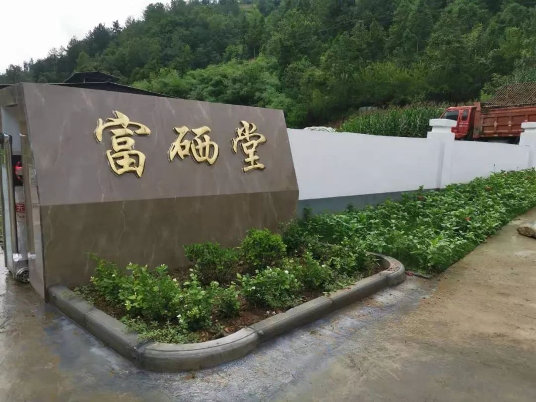 元长安富硒白茶是什么茶（白茶有硒吗）-硒宝网