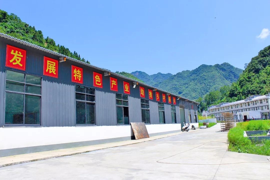 元长安富硒白茶是什么茶（白茶有硒吗）-硒宝网