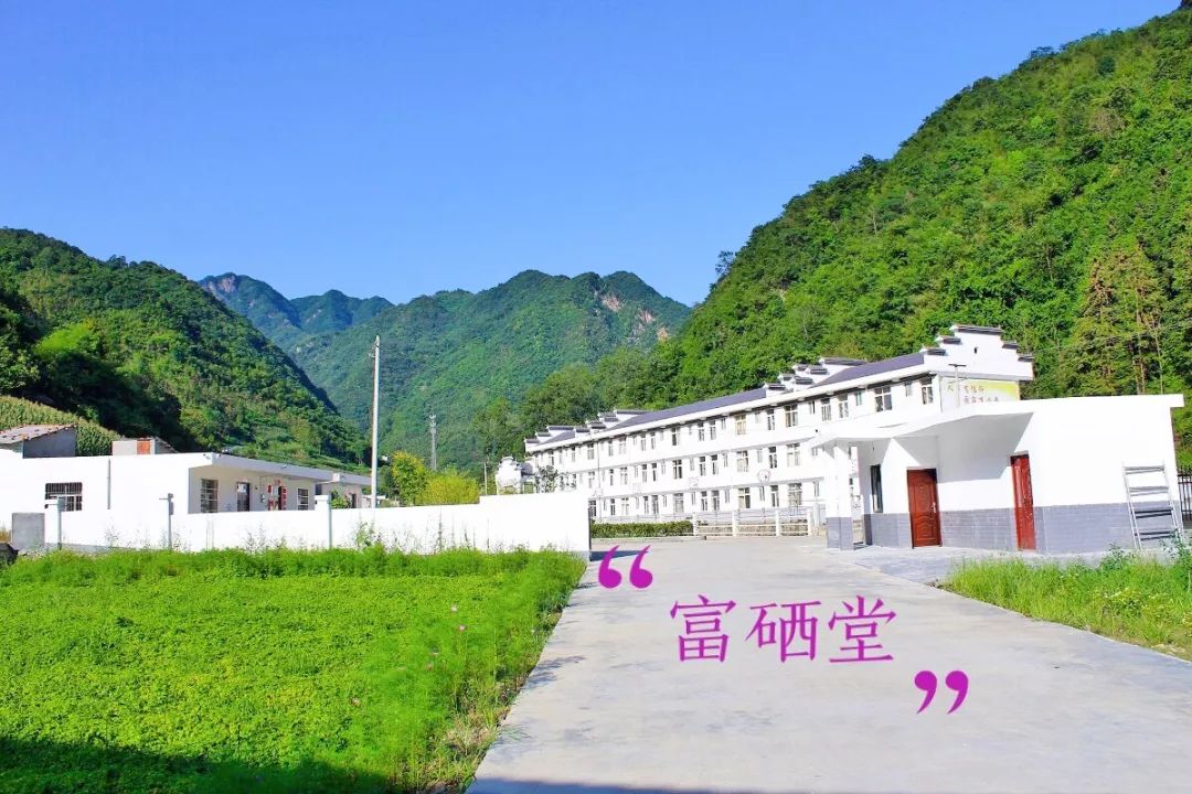 元长安富硒白茶是什么茶（白茶有硒吗）-硒宝网