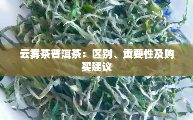 富硒高山云雾普洱茶价格(高山云雾茶是什么档次)-硒宝网