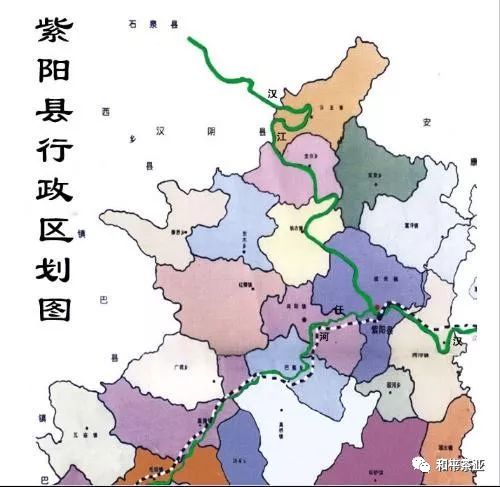 陕西紫阳富硒茶蒿坪毛尖(紫阳毛尖含硒量多少)-硒宝网