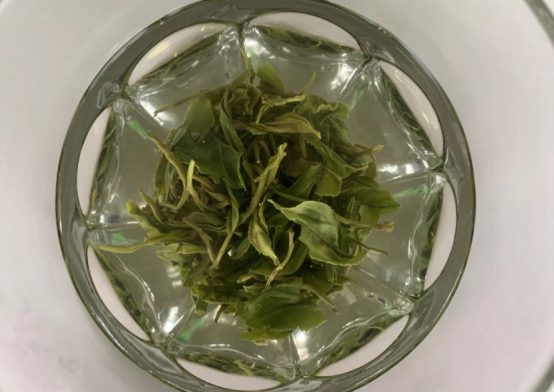 富硒茶是不是最好的绿茶（绿茶与富硒绿茶的区别）-硒宝网