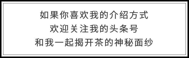 紫阳富硒茶销路如何样呀(紫阳富硒茶的竞争对手)-硒宝网