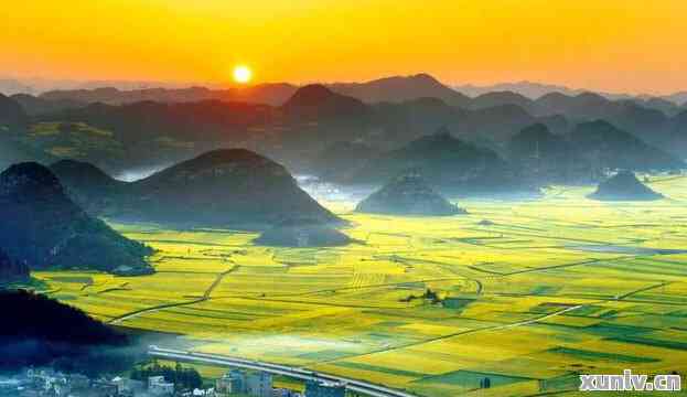 贵州富硒茶产地在哪里呀（贵州富硒茶多少钱一斤）-硒宝网