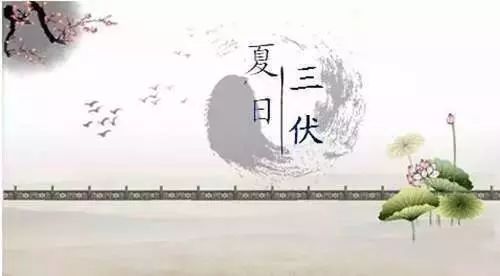 富硒沙棘茶孕妇可以喝吗(孕妇喝茶沙棘富硒可以吃吗)-硒宝网