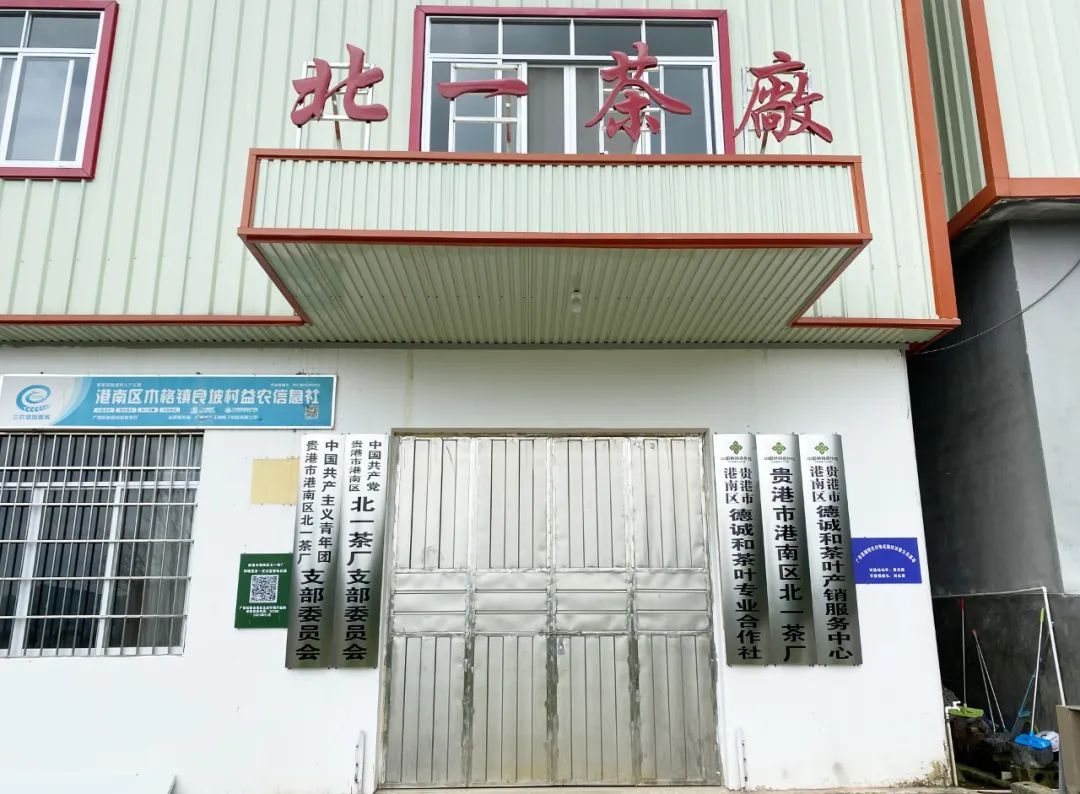 恩施富硒是什么品种的茶（茶品种恩施富硒是哪里产的）-硒宝网