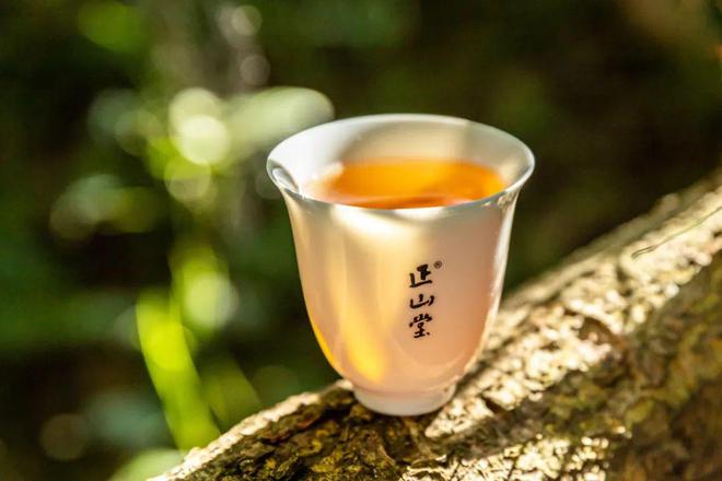 巴东的富硒茶有哪些品牌（巴东富硒神茶）-硒宝网