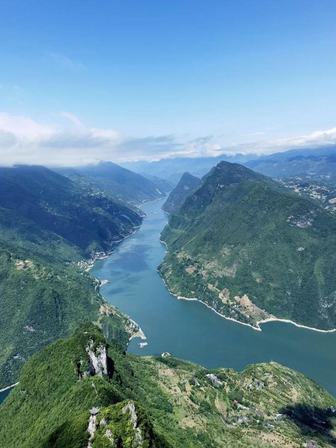 巴东的富硒茶有哪些品牌（巴东富硒神茶）-硒宝网