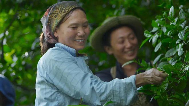 巴东的富硒茶有哪些品牌（巴东富硒神茶）-硒宝网