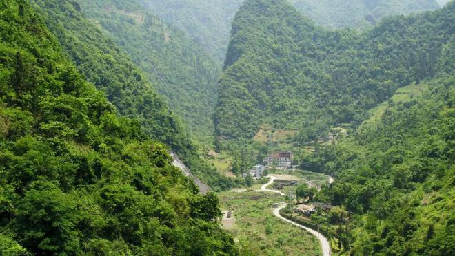 巴东的富硒茶有哪些品牌（巴东富硒神茶）-硒宝网