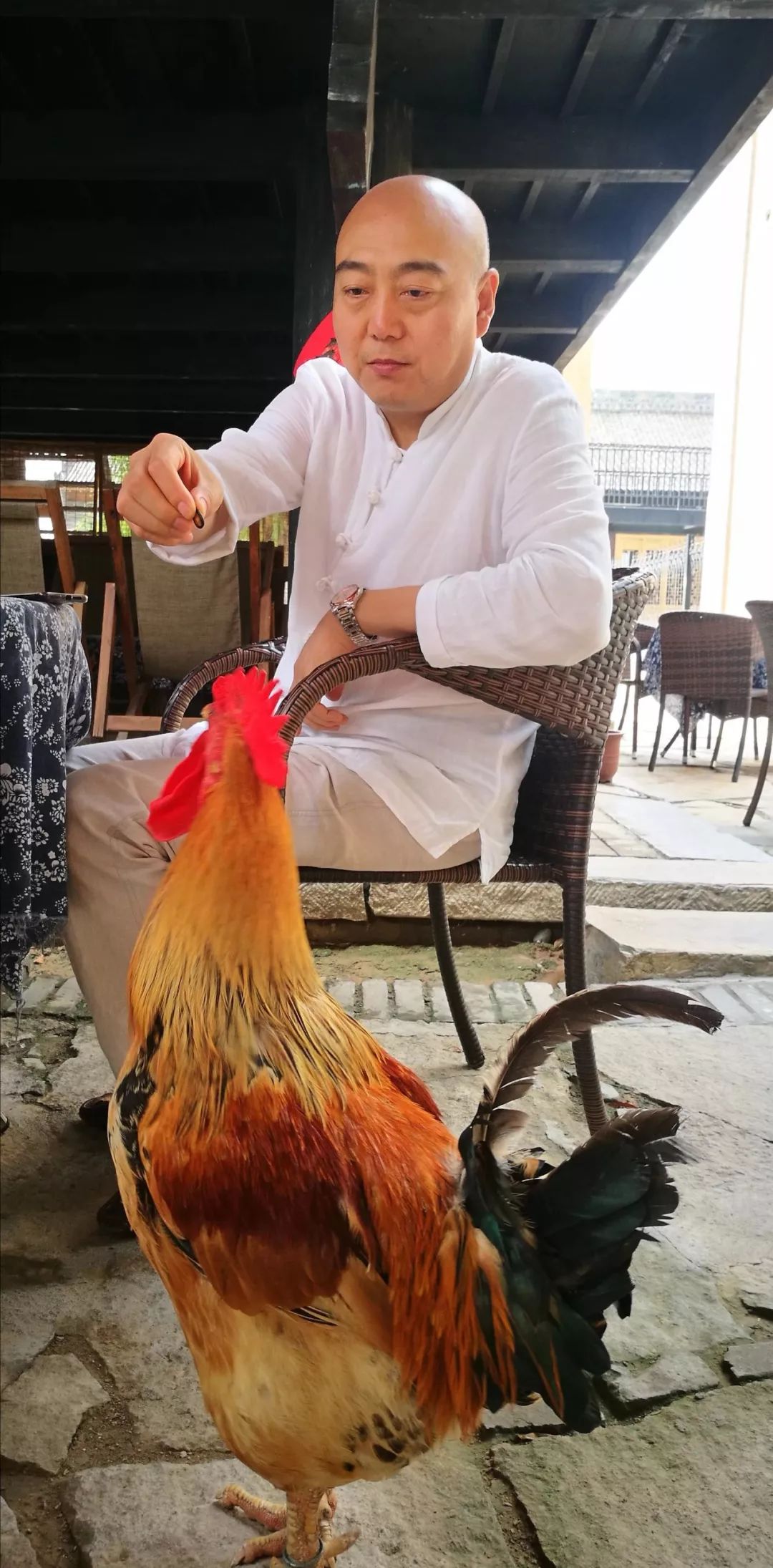 如何泡紫阳富硒茶喝好喝(紫阳富硒茶的泡法及水温)-硒宝网