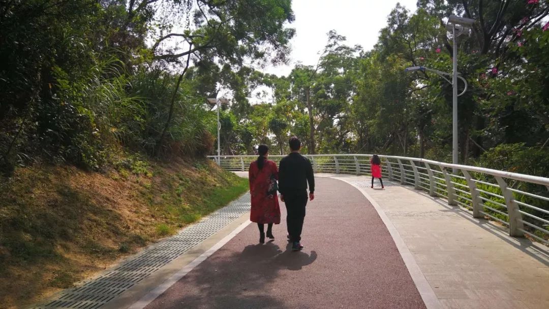 如何泡紫阳富硒茶喝好喝(紫阳富硒茶的泡法及水温)-硒宝网