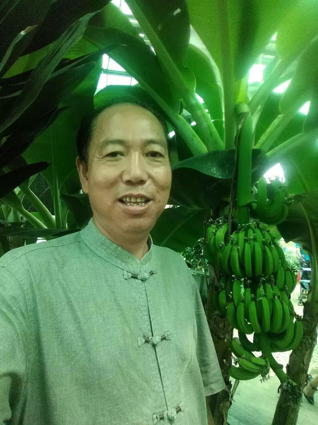 如何泡紫阳富硒茶喝好喝(紫阳富硒茶的泡法及水温)-硒宝网