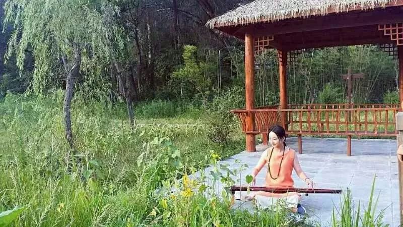 如何泡紫阳富硒茶喝好喝(紫阳富硒茶的泡法及水温)-硒宝网