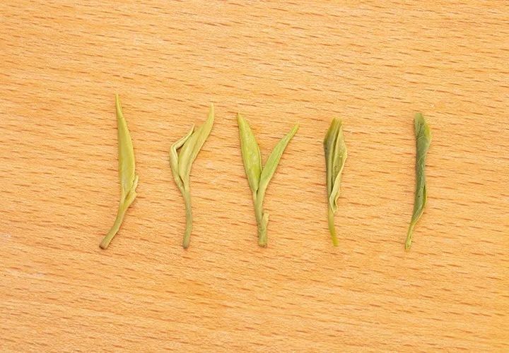 如何泡紫阳富硒茶喝好喝(喝紫阳富硒茶的好处)-硒宝网