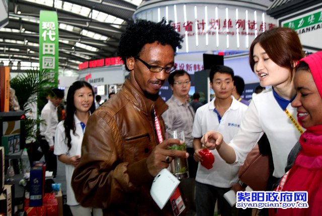 紫阳富硒茶西安市场如何（陕西省紫阳富硒茶）-硒宝网