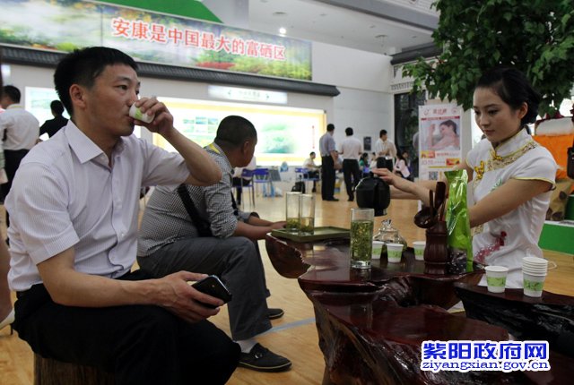 紫阳富硒茶西安市场如何（陕西省紫阳富硒茶）-硒宝网