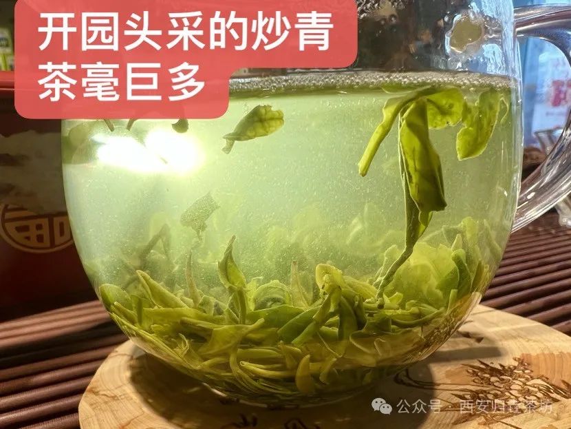 如何泡紫阳富硒茶喝好喝（紫阳富硒茶冲泡）-硒宝网