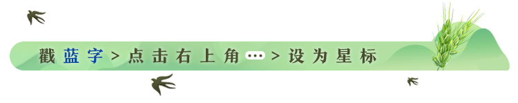 广西恩施富硒茶哪里有卖(恩施富硒茶哪个牌子好)-硒宝网