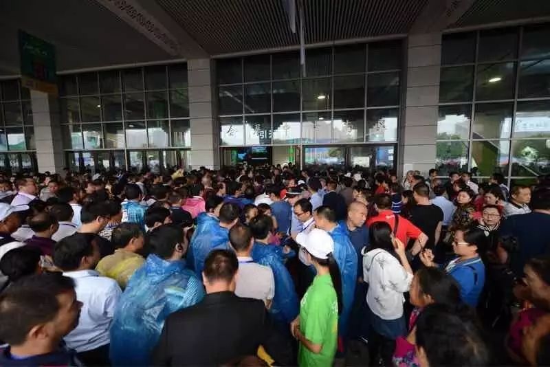 广西恩施富硒茶哪里有卖(恩施富硒茶叶多少钱一斤)-硒宝网