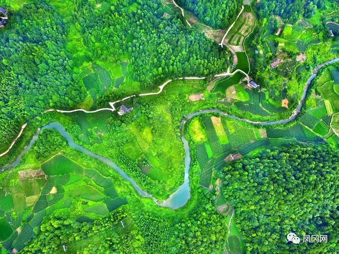 中国富锌富硒有机茶之乡（富硒有机茶价钱）-硒宝网