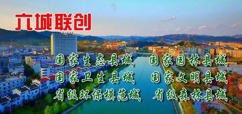 平利女娲富硒茶是绿茶吗(女娲茶是绿茶吗)-硒宝网