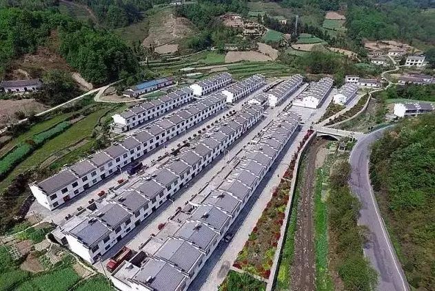 平利女娲富硒茶是绿茶吗(女娲茶是绿茶吗)-硒宝网