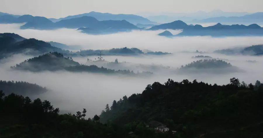 平利女娲富硒茶是绿茶吗(女娲茶是绿茶吗)-硒宝网