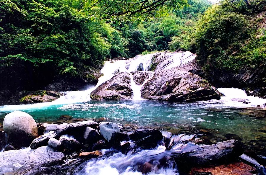 平利女娲富硒茶是绿茶吗(女娲茶是绿茶吗)-硒宝网