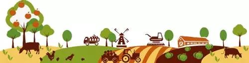 平利女娲富硒茶是绿茶吗(女娲茶是绿茶吗)-硒宝网