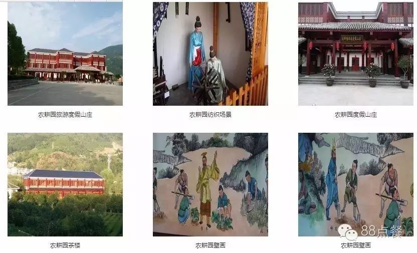 平利女娲富硒茶是绿茶吗(女娲茶是绿茶吗)-硒宝网