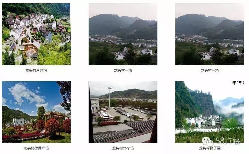 平利女娲富硒茶是绿茶吗(女娲茶是绿茶吗)-硒宝网