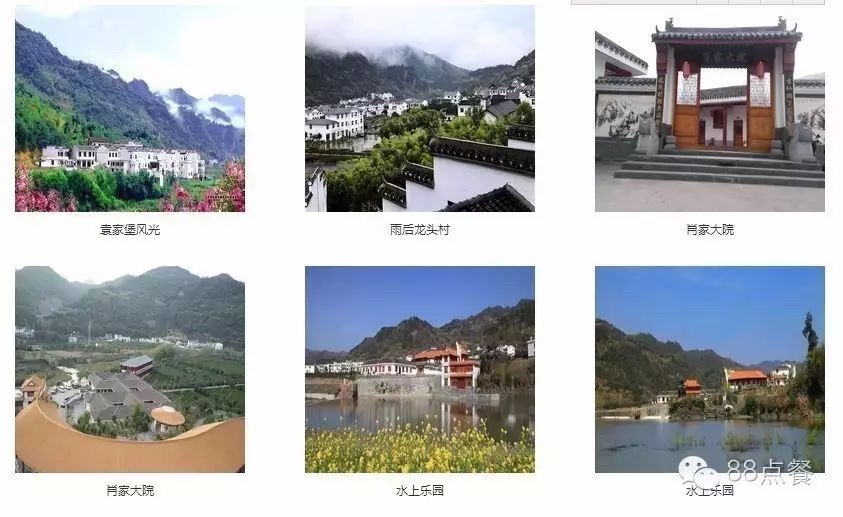 平利女娲富硒茶是绿茶吗(女娲茶是绿茶吗)-硒宝网