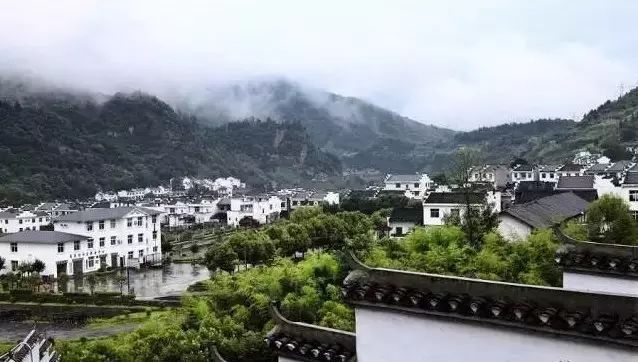 平利女娲富硒茶是绿茶吗(女娲茶是绿茶吗)-硒宝网