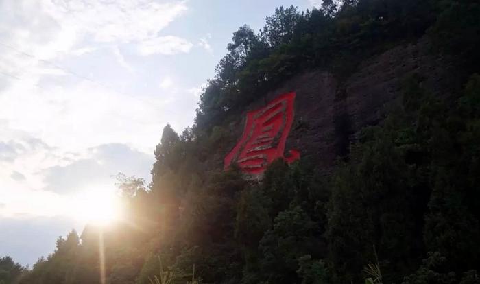 中国富锌富硒有机茶之乡（富硒茶具）-硒宝网