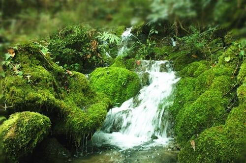 中国富锌富硒有机茶之乡（富硒茶具）-硒宝网