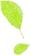 天津富硒茶哪里买的好喝（富硒茶批发）-硒宝网