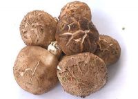 陕西紫阳富硒茶制作过程(陕西紫阳茶叶)-硒宝网