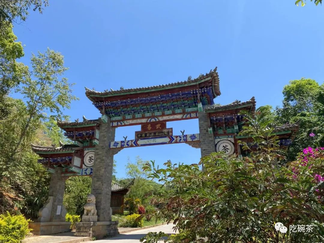 富硒茶主要产区是哪里的(富硒茶的产地)-硒宝网