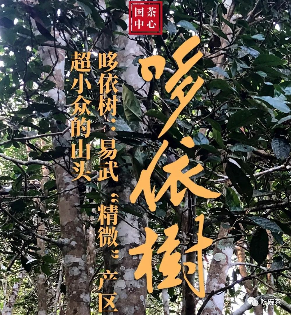富硒茶主要产区是哪里的(富硒茶的产地)-硒宝网