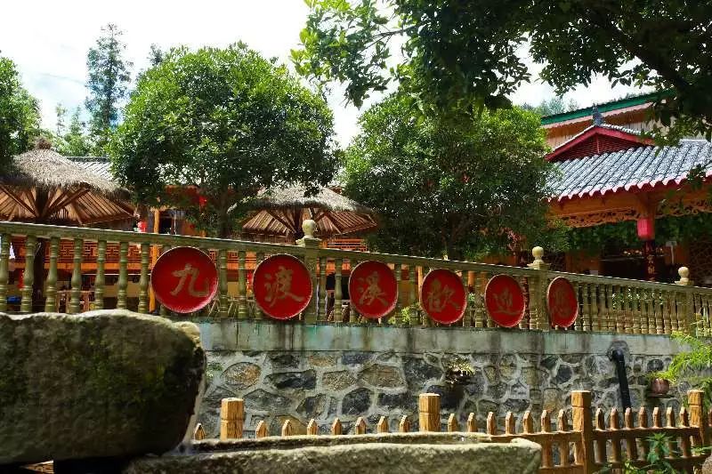 恩施富硒藤茶有什么功效（施恩富硒滕茶）-硒宝网