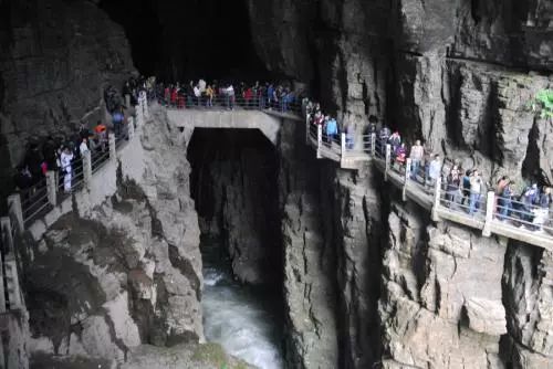 恩施富硒藤茶有什么功效（施恩富硒滕茶）-硒宝网