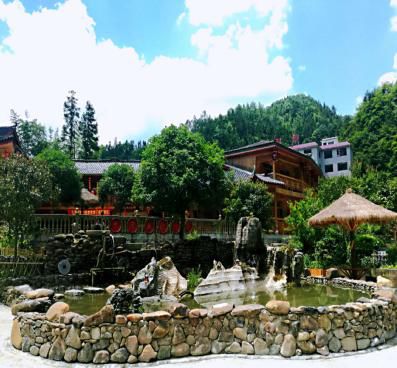 恩施富硒藤茶有什么功效（施恩富硒滕茶）-硒宝网