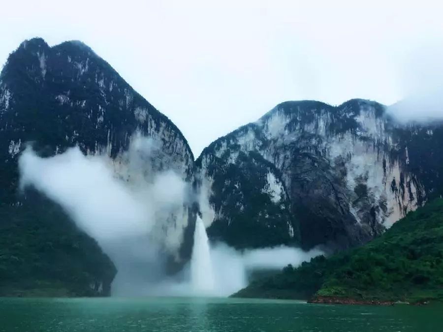 恩施富硒藤茶有什么功效（施恩富硒滕茶）-硒宝网
