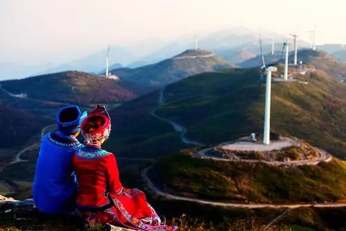 恩施富硒藤茶有什么功效（施恩富硒滕茶）-硒宝网