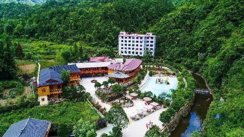 恩施富硒藤茶有什么功效（施恩富硒滕茶）-硒宝网